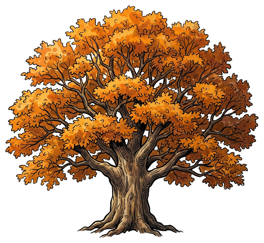 your oak